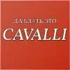 «Cavalli» — Модный дом экстаза на Kraken Marketplace